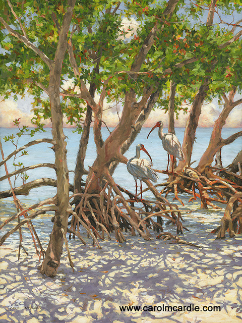 Island Ibis 40x30